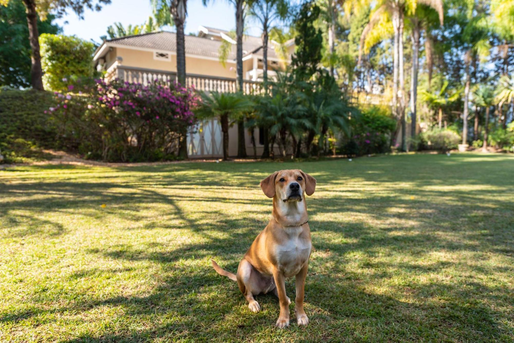 Fazenda Vila Real - Grande E Charmosa Casa De Campo 이투 외부 사진